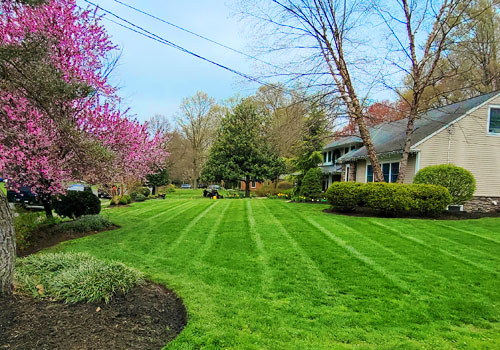 Lawn Care Services in South Jersey | Hector Landscaping LLC